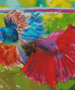 Pink And Blue Siamese Fighting Fish Diamond Painting