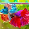 Pink And Blue Siamese Fighting Fish Diamond Painting