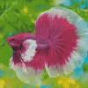 Pink And White Siamese Fighting Fish Diamond Painting
