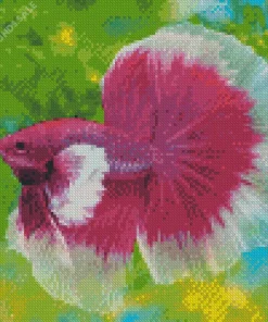 Pink And White Siamese Fighting Fish Diamond Painting