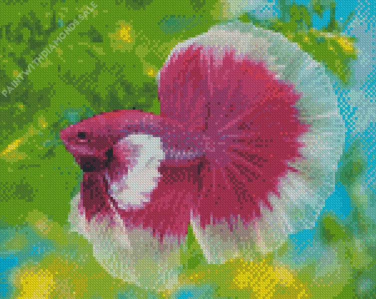 pink and white Siamese fighting fish Diamond Paintings Pink And White Siamese Fighting Fish Diamond Painting