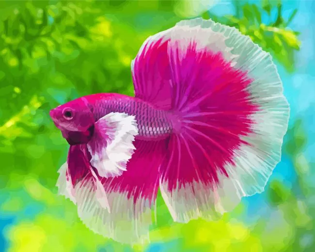 pink and white Siamese fighting fish Diamond With Numbers Pink And White Siamese Fighting Fish Diamond Painting