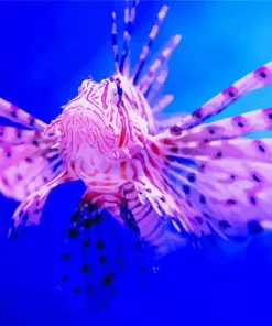 Pink Cute Lionfish Diamond Painting