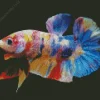 Plakat Betta Diamond Painting