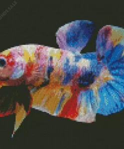 Plakat Betta Diamond Painting