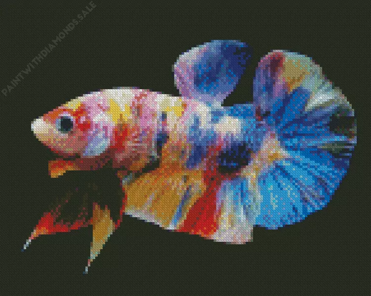plakat betta Diamond Paintings Plakat Betta Diamond Painting