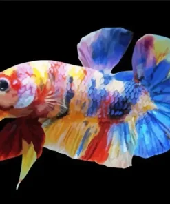 Plakat Betta Diamond Painting