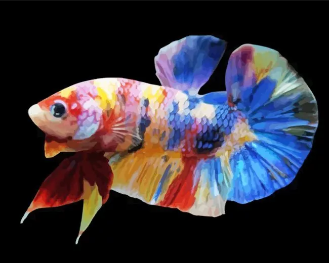 plakat betta Diamond With Numbers Plakat Betta Diamond Painting