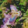 Purple Kea Bird Flying Diamond Painting