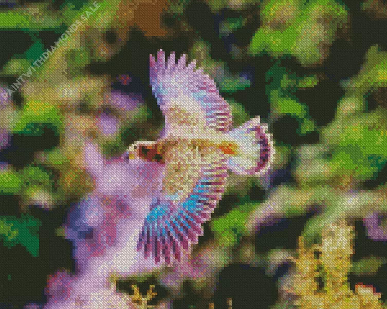 purple Kea Bird flying Diamond Dotz Purple Kea Bird Flying Diamond Painting