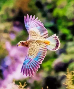 Purple Kea Bird Flying Diamond Painting