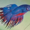 Purple Siamese Fighting Fish Diamond Painting
