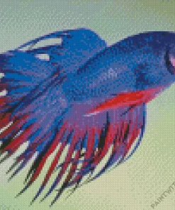 Purple Siamese Fighting Fish Diamond Painting