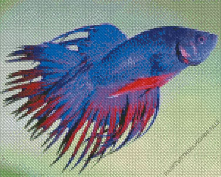 purple Siamese fighting fish Diamond Paintings Purple Siamese Fighting Fish Diamond Painting
