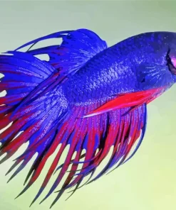 Purple Siamese Fighting Fish Diamond Painting