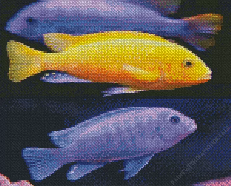 purple and yellow Cichlid Diamond With Numbers Purple And Yellow Cichlid Diamond Painting