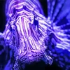 Purple Neon Lionfish Diamond Painting