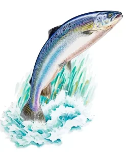 Rainbow Salmon Fish Diamond Painting