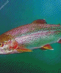 Rainbow Trout Diamond Painting