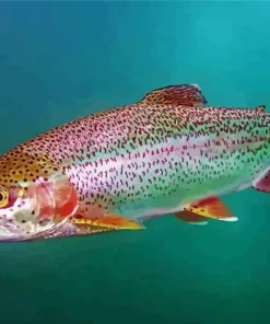 Rainbow Trout Diamond Painting