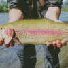 Rainbow Trout With Opened Mouth Diamond Painting
