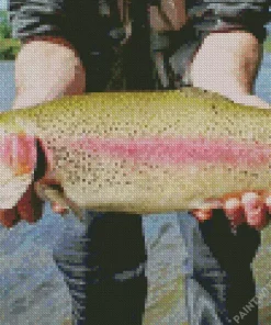 Rainbow Trout With Opened Mouth Diamond Painting