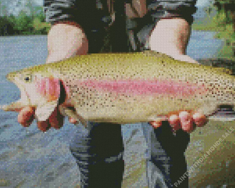 rainbow trout with opened mouth Diamond Paintings Rainbow Trout With Opened Mouth Diamond Painting