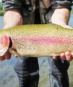 Rainbow Trout With Opened Mouth Diamond Painting