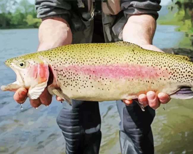 rainbow trout with opened mouth Diamond With Numbers Rainbow Trout With Opened Mouth Diamond Painting