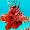 Red Lionfish Diamond Painting