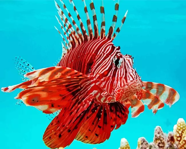 red Lionfish Diamond With Numbers Red Lionfish Diamond Painting