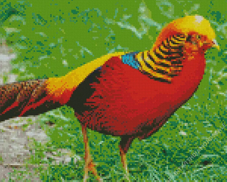 red Pheasant Diamond Paints Red Pheasant Diamond Painting