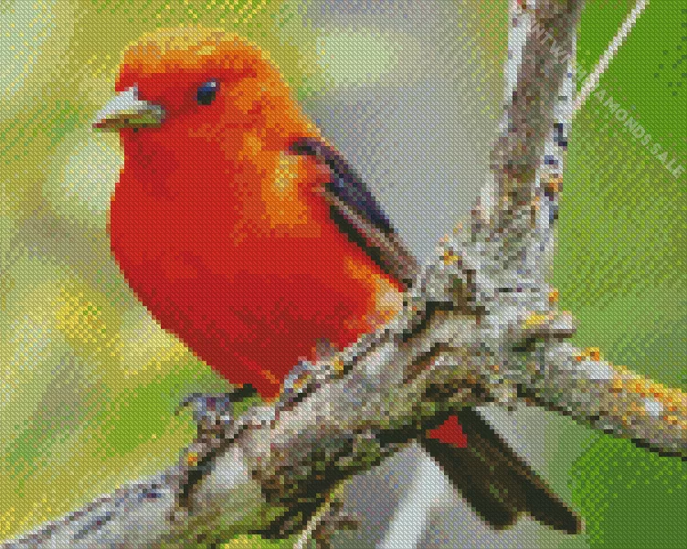 red Scarlet Tanager on a tree Diamond Dotz Red Scarlet Tanager In A Tree Diamond Painting