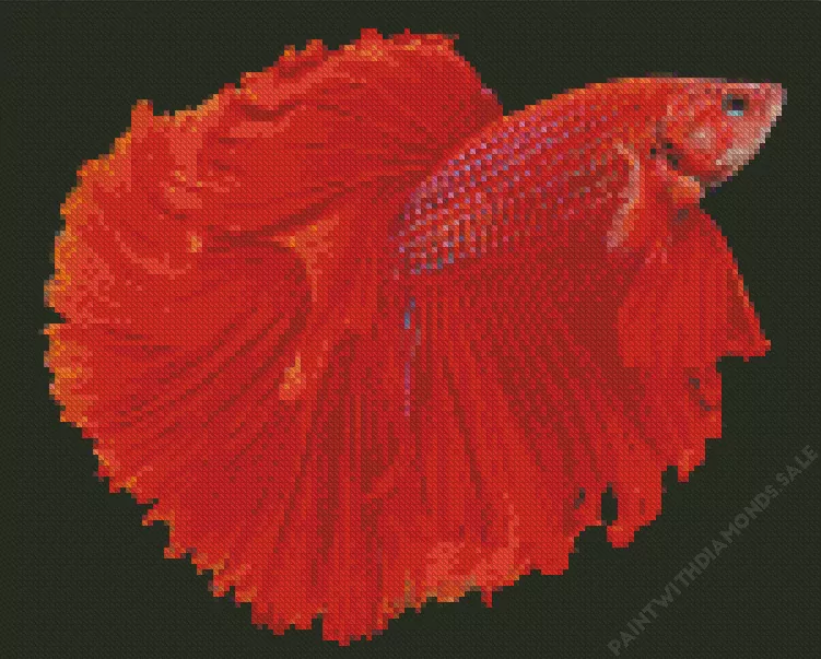 red Siamese fighting fish Diamond Paintings Red Siamese Fighting Fish Diamond Painting