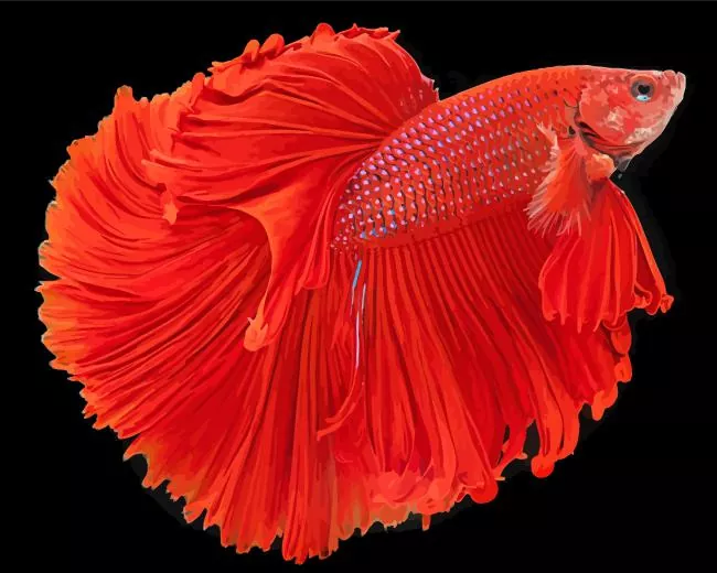 red Siamese fighting fish Diamond With Numbers Red Siamese Fighting Fish Diamond Painting