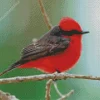 Red Vermilion Flycatcher Bird Diamond Painting