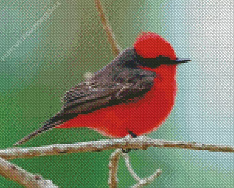 red Vermilion Flycatcher bird Diamond By Numbers Red Vermilion Flycatcher Bird Diamond Painting