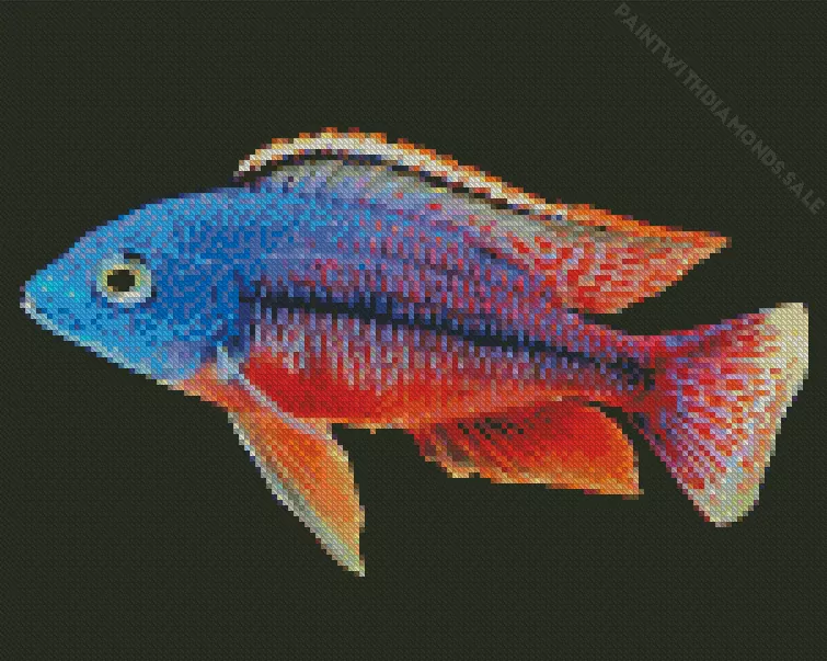 red and blue Cichlid Diamond With Numbers Red And Blue Cichlid Diamond Painting