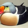 Red Beaked King Eider Bird Diamond Painting