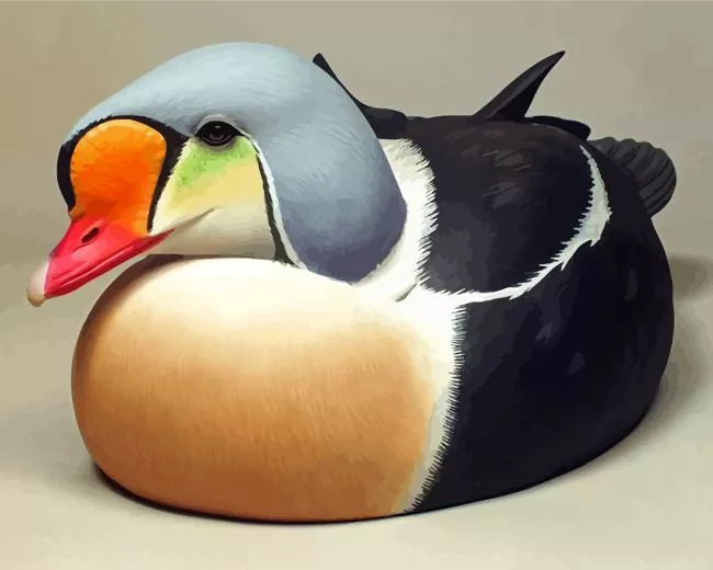 red beaked King Eider Bird Diamond By Numbers Red Beaked King Eider Bird Diamond Painting