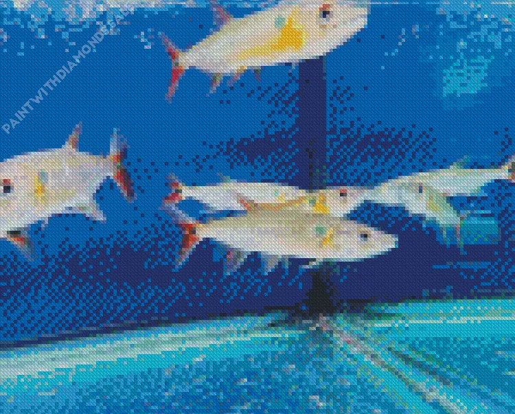 red tailed Barracuda Fish Diamond With Numbers Red Tailed Barracuda Fish Diamond Painting