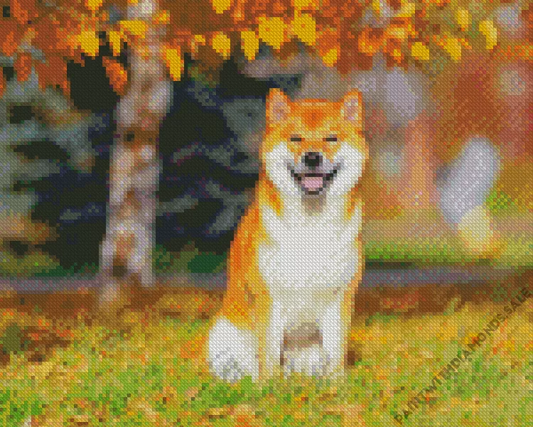 shiba inu Diamond By Numbers Shiba Inu Diamond Painting