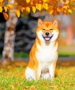 Shiba Inu Diamond Painting