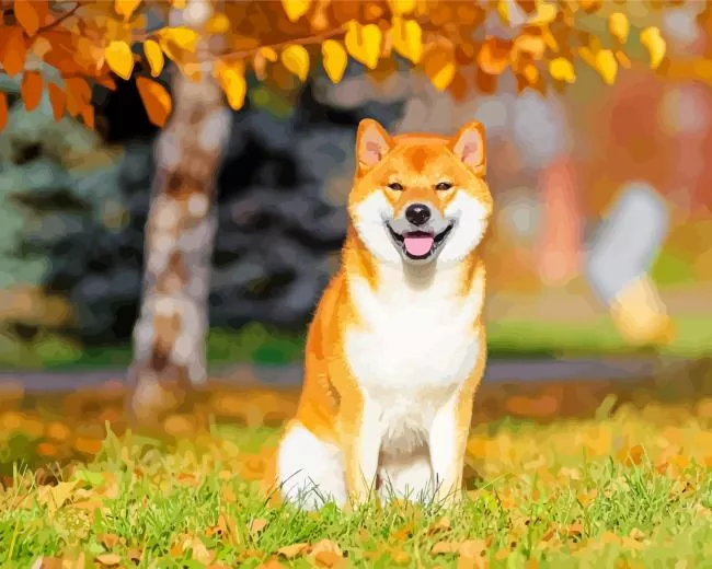 shiba inu Diamond Paintings Shiba Inu Diamond Painting