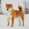 Shiba Inu Dog In The Snow Diamond Painting