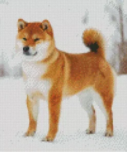 Shiba Inu Dog In The Snow Diamond Painting