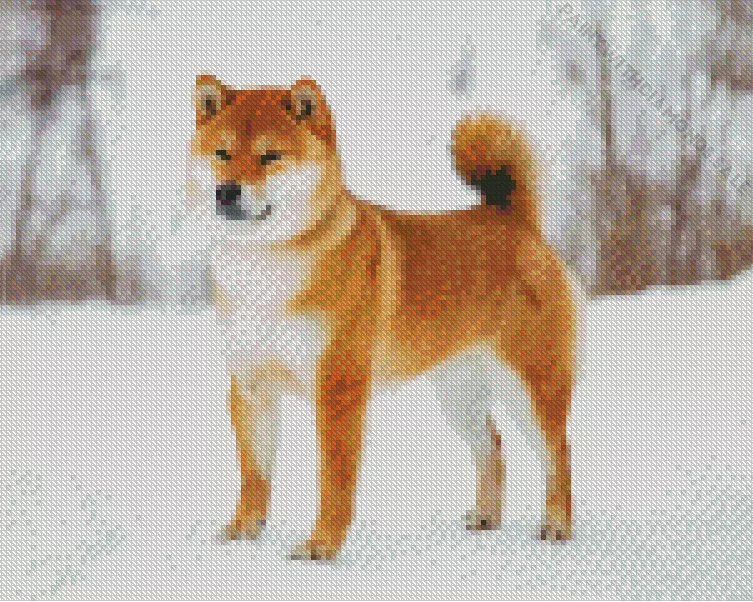 shiba inu dog in the snow Diamond By Numbers Shiba Inu Dog In The Snow Diamond Painting
