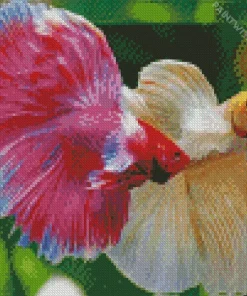 Siamese Fighting Fish Diamond Painting