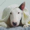 Sleepy Bull Terrier Diamond Painting