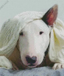 Sleepy Bull Terrier Diamond Painting